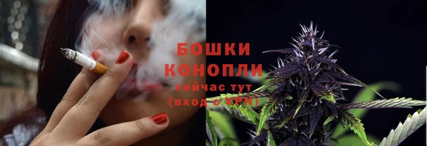 ПСИЛОЦИБИНОВЫЕ ГРИБЫ Алзамай