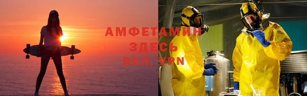 ПСИЛОЦИБИНОВЫЕ ГРИБЫ Алзамай