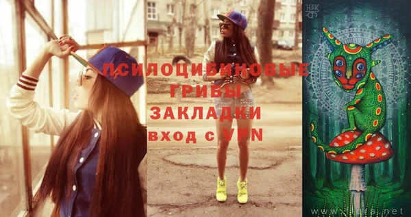 Альфа ПВП Алексин