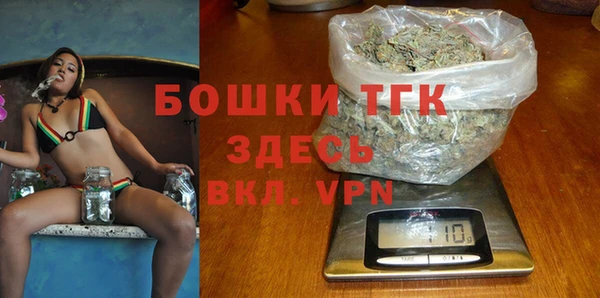индика Алексеевка